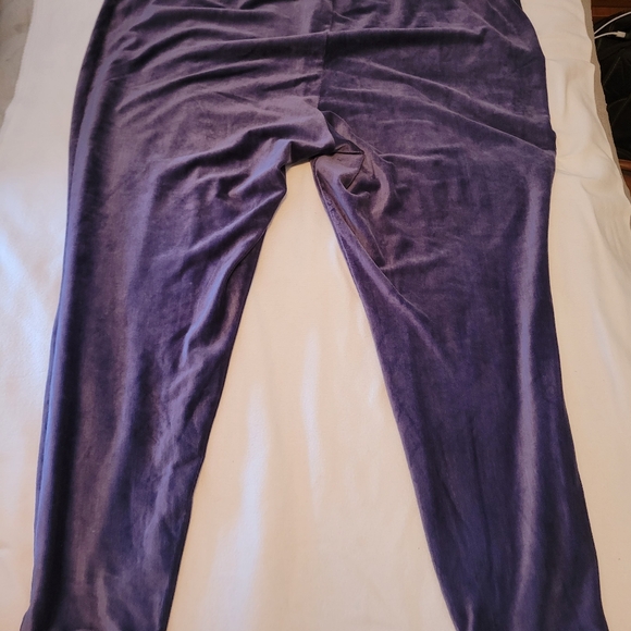 (4X)  Blue Velvet Pants - Picture 2 of 4